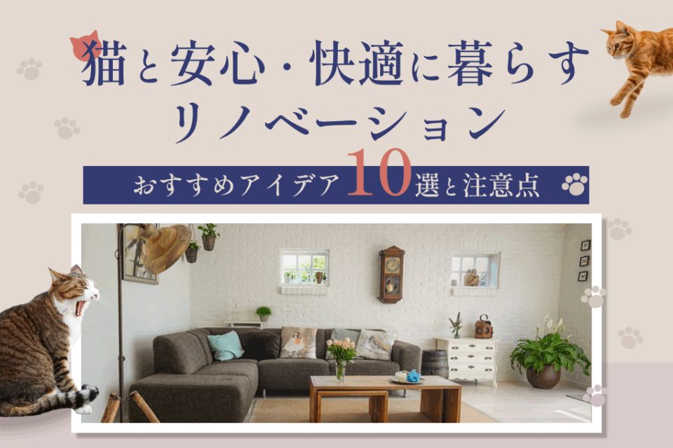 安心・快適に、猫と暮らすリノベーション｜おすすめアイデア10選と注意点